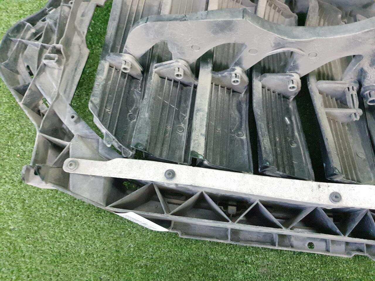 Решетка радиатора BMW X6 G06 (2019-Н.В.) 51135A29C23 0000005751686