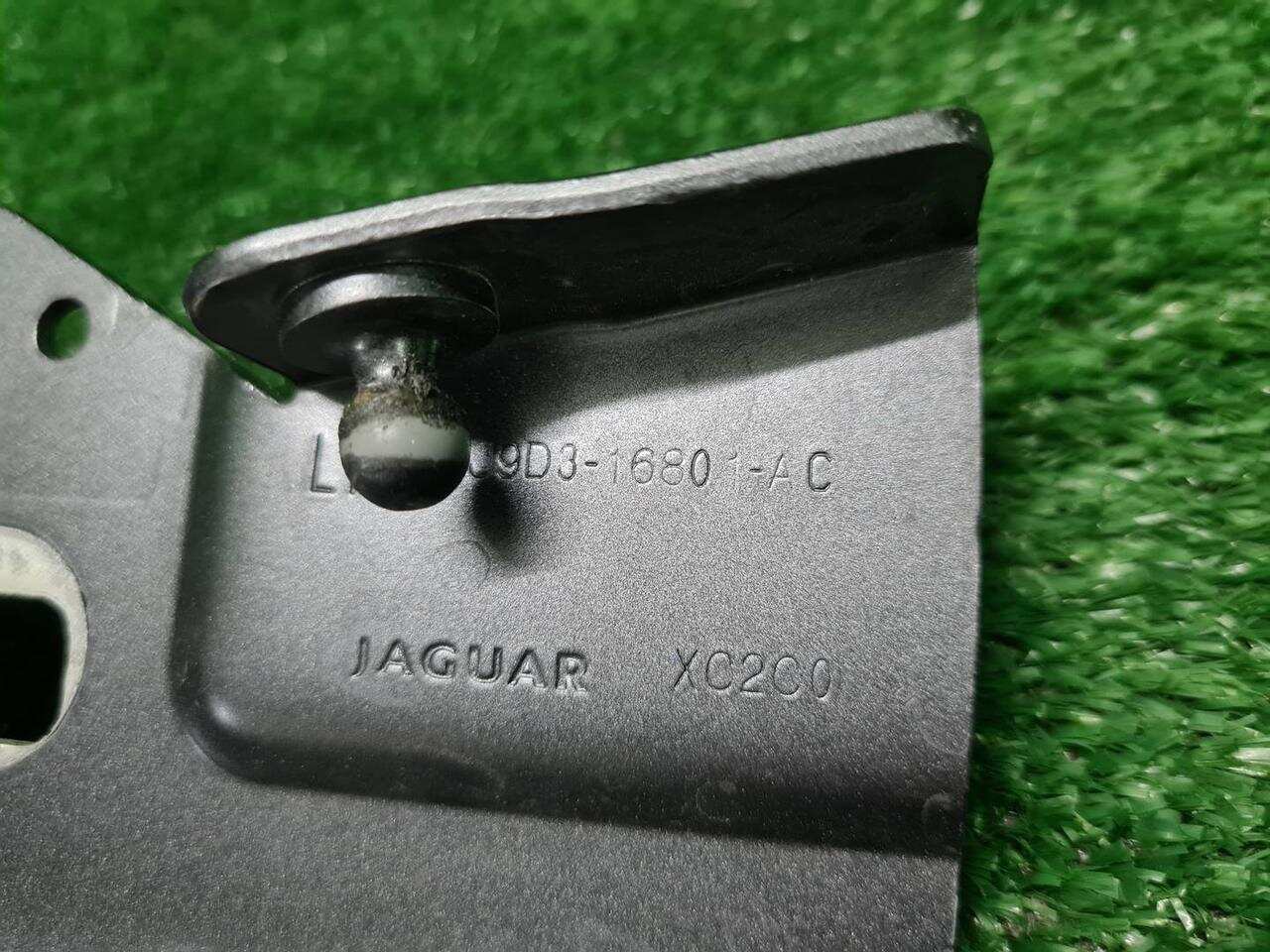 Петля капота Комплект JAGUAR I-PACE (2018-Н.В.) J9D316801AC 0000006104894